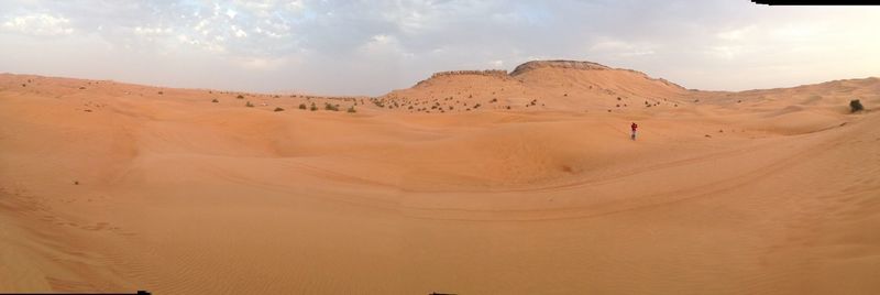 Scenic view of desert