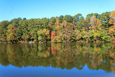 Scenic view of lake by trees against clear sky