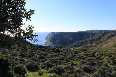 nature