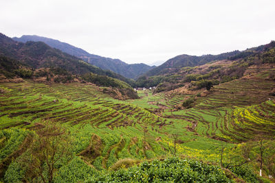 Scenic view of agricultural landscape against sky