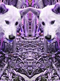 Portrait of dog