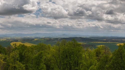 Scenic view of forest against sky