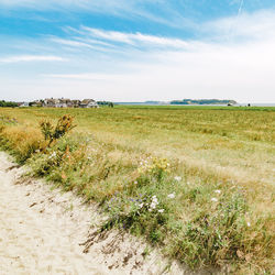 Scenic view of field against cloudy sky