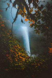 Scenic view of waterfall amidst trees