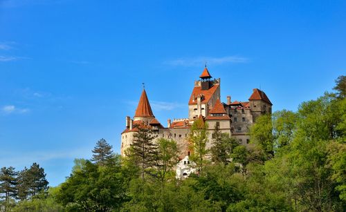 Low angle view of trees and bran castle against blue sky