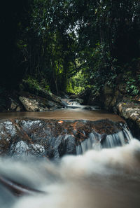 Scenic view of waterfall in forest
