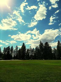 Scenic view of grassy field against sky