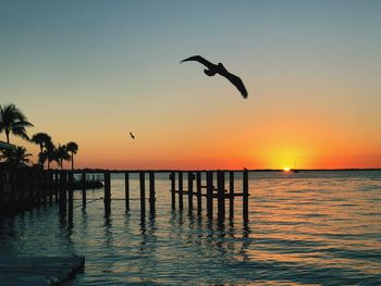 Silhouette bird flying over sea against sky during sunset