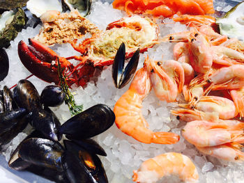 Raw shrimps clamps and mussels served on ice