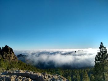 Scenic view of landscape against clear blue sky