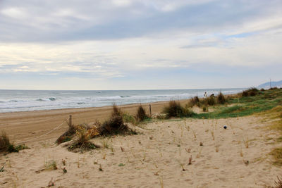 Scenic view of beach against sky