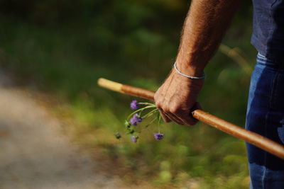 Close-up of hand holding plant on field