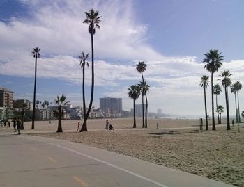 Palm trees against cloudy sky
