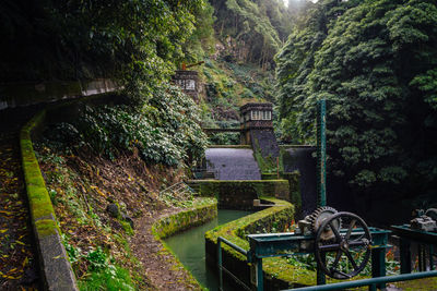 Metallic gear by canal against trees