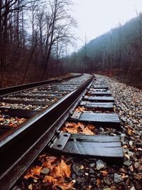 Railroad tracks amidst trees during autumn