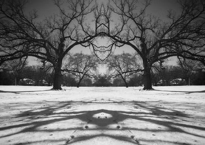 Bare trees on snow covered landscape against sky