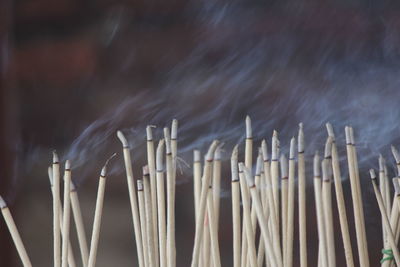 Close-up of incense