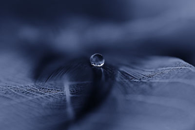 Macro shot of water drops on leaf