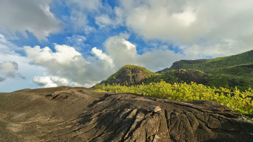 Mountain area on the island of praslin. the rocks are thickly overgrown with tropical greenery. 