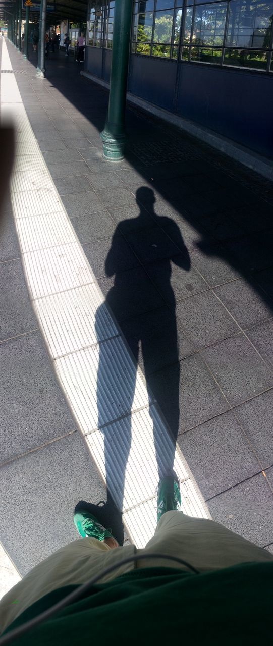 shadow, street, transportation, sunlight, lifestyles, men, road, road marking, walking, leisure activity, rear view, city, person, unrecognizable person, city life, day, zebra crossing, low section