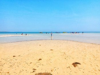 Rear view of boy standing on beach against sky