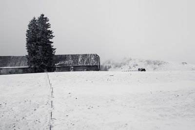 Scenic view of snow field against clear sky