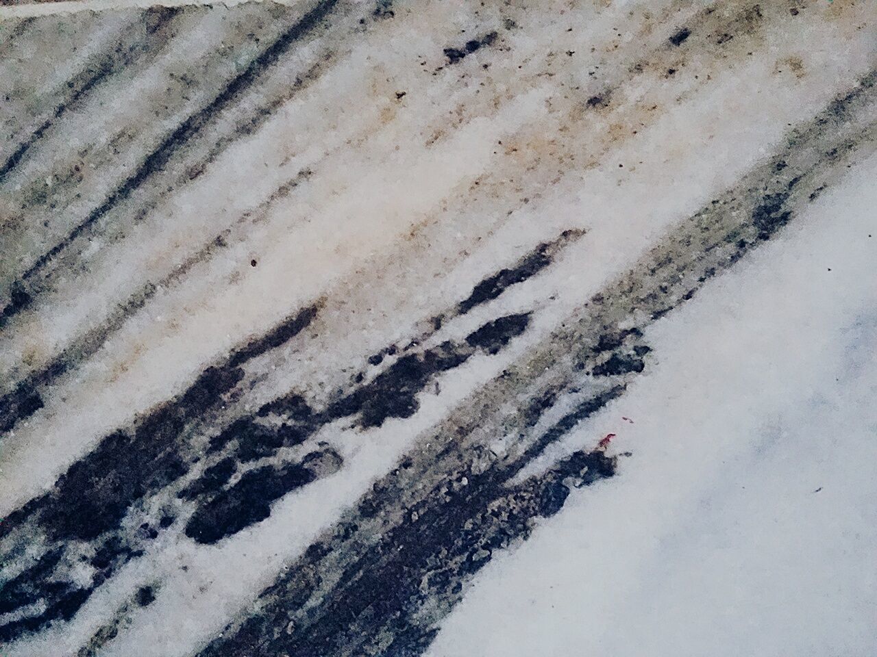 HIGH ANGLE VIEW OF STARFISH ON SNOW