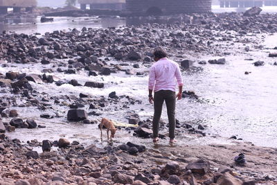 Rear view of dog on beach