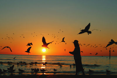 Silhouette birds flying over sea against sky during sunset