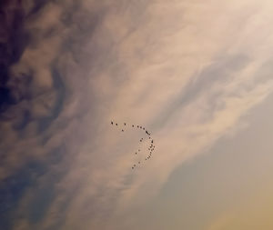 Low angle view of birds flying in sky