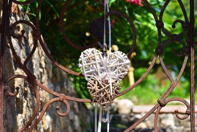 Close-up of metal hanging on tree