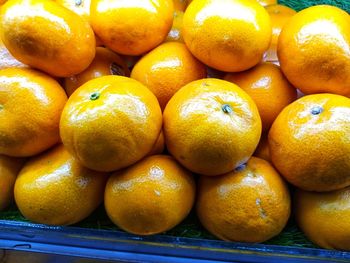 Close-up of oranges