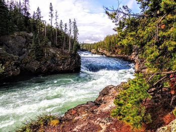 Scenic view of waterfall in forest against sky