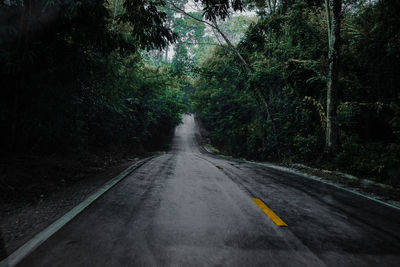 Road amidst trees in forest