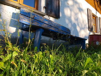 View of built structure with plants in foreground