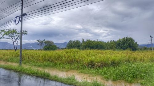 Scenic view of field against sky