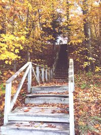 Steps in forest during autumn