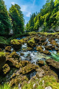 Stream flowing through rocks in forest against sky