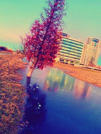 Digital composite image of trees and buildings against sky