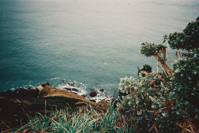 View of the shore on the howth cliff walk near dublin