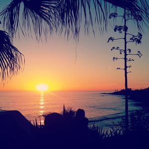 Scenic view of sea during sunset