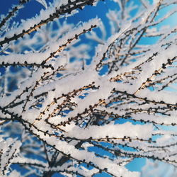 Close-up of snow against blue sky