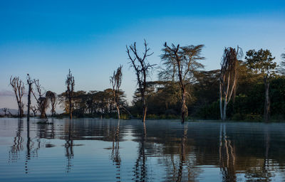Scenic view of lake against clear blue sky
