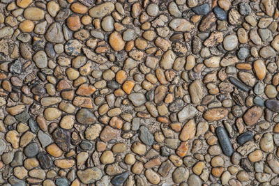 Colorful round pebble stone texture for wallpaper and background. texture background. 