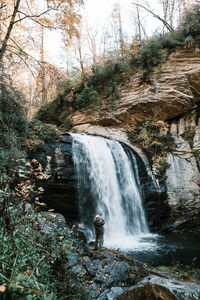 Scenic view of waterfall in forest