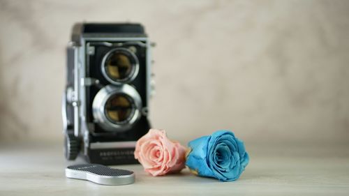 Close-up of rose on table