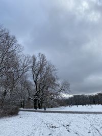 Bare trees on snow covered field against sky