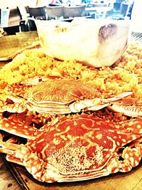 Close-up of food