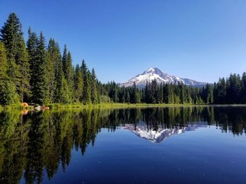 Scenic view of lake by trees against clear sky