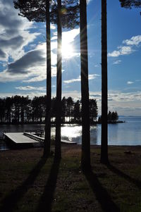 Trees by lake against sky